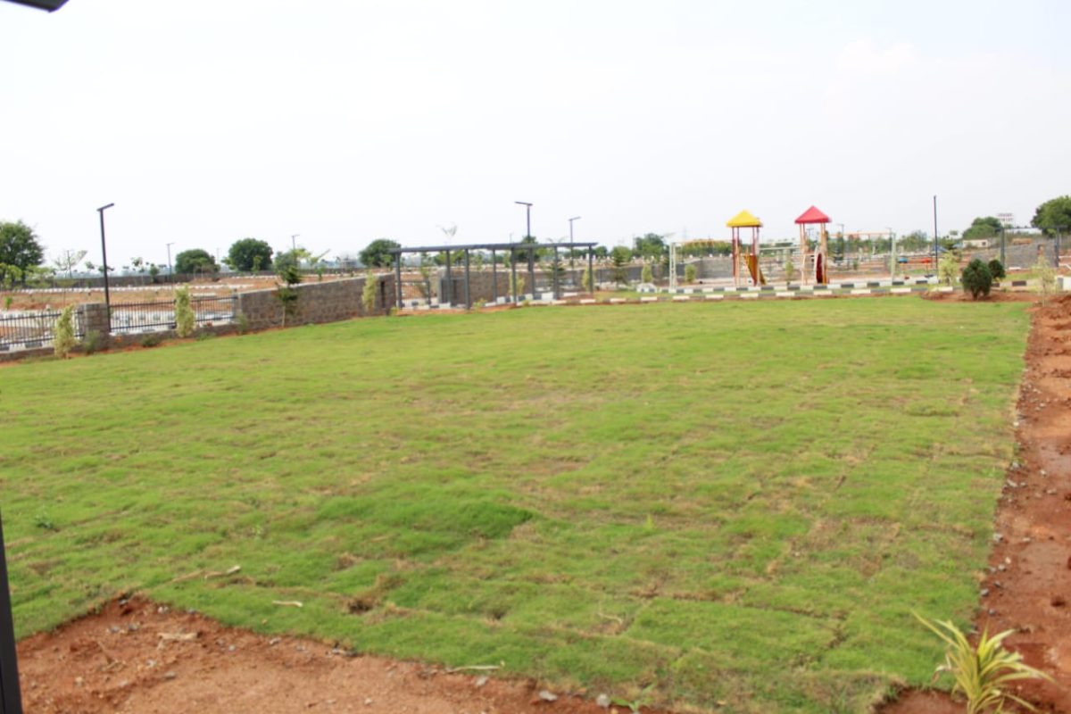 HMDA Plots